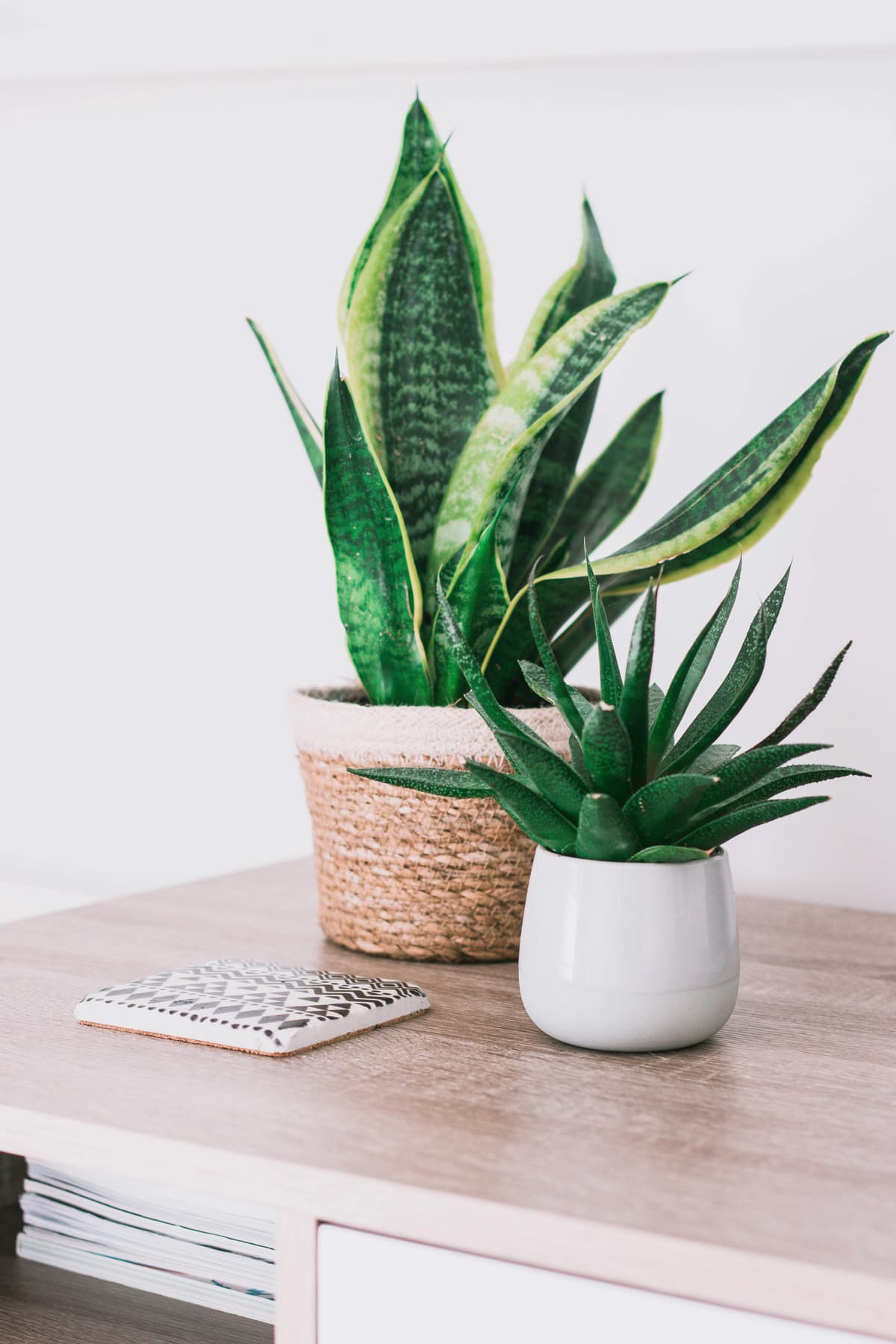 Pots & Planters