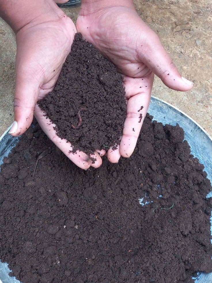 Organic Compost Banane Ka Tarika